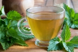 La tisane d&rsquo;ortie pour maigrir : bienfaits et recettes maison